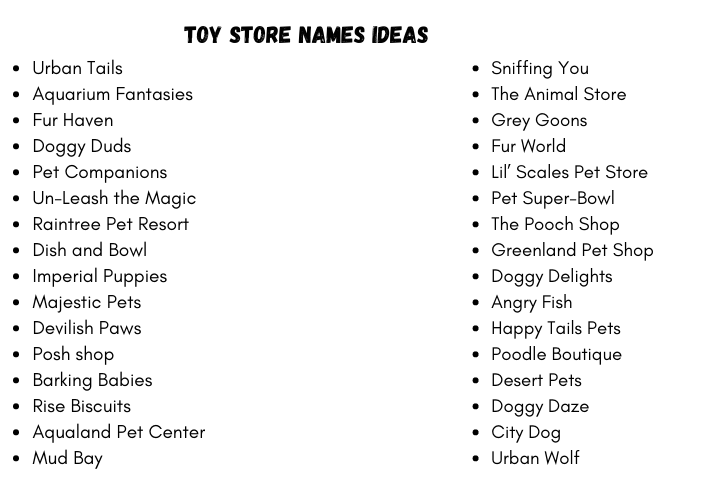 Toy Store Names Ideas 