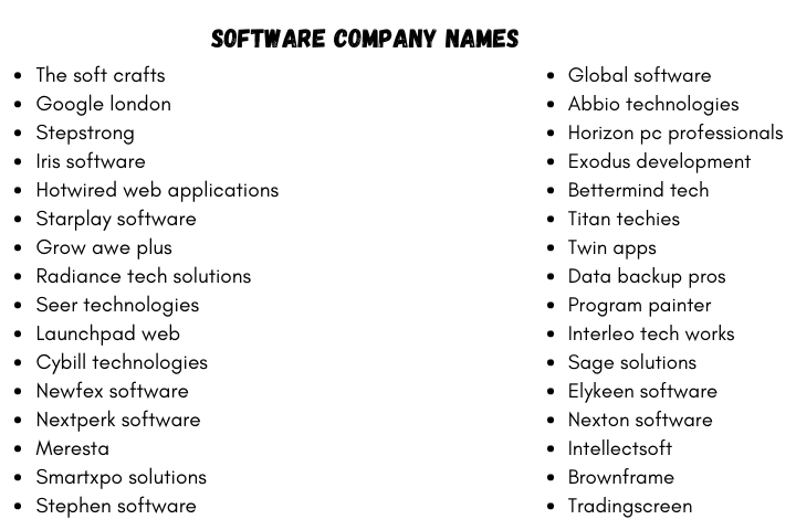 Software Company Names