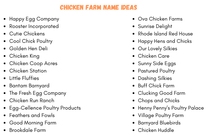 Chicken Farm Name Ideas