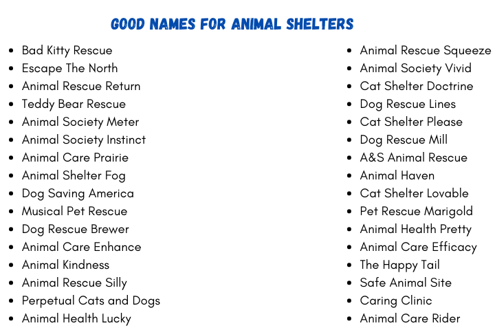 Good Names for Animal Shelters