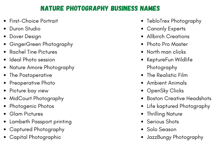 Nature Photography Business Names