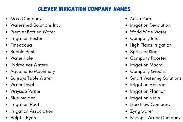 Clever Irrigation Company Names