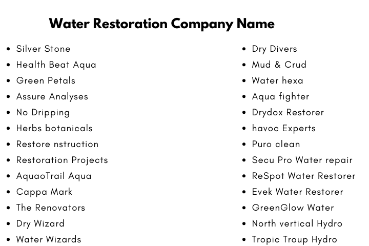 Water Restoration Company Names