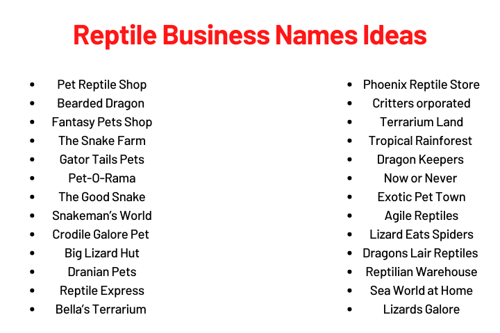 Reptile Business Names Ideas