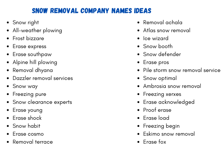 Snow Removal Company Names Ideas