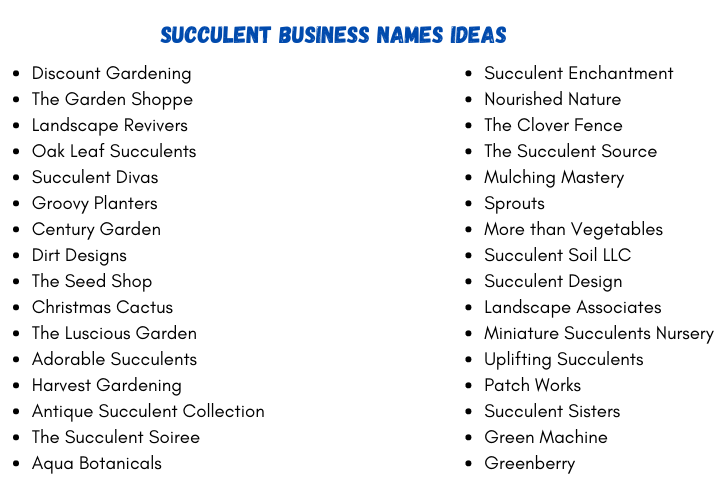 Succulent Business Names Ideas