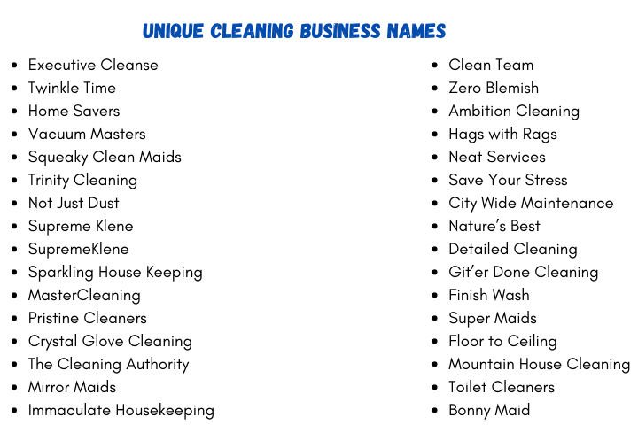 Unique Cleaning Business Names