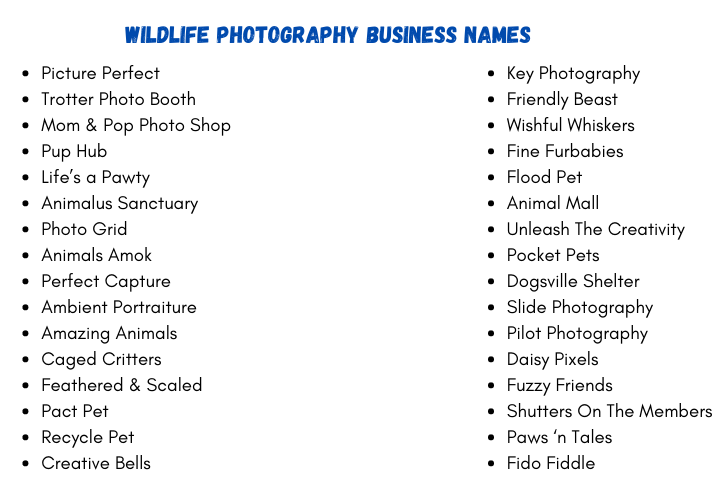 Wildlife Photography Business Names