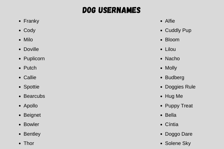 dog Usernames