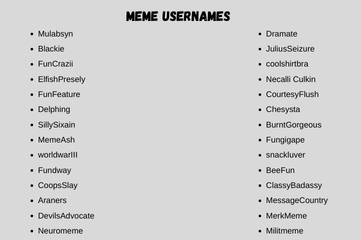 meme usernames