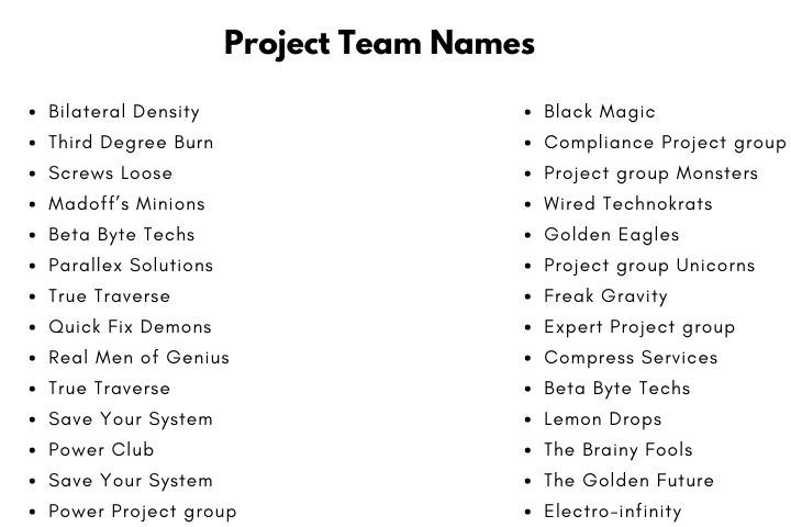 Project Team Names