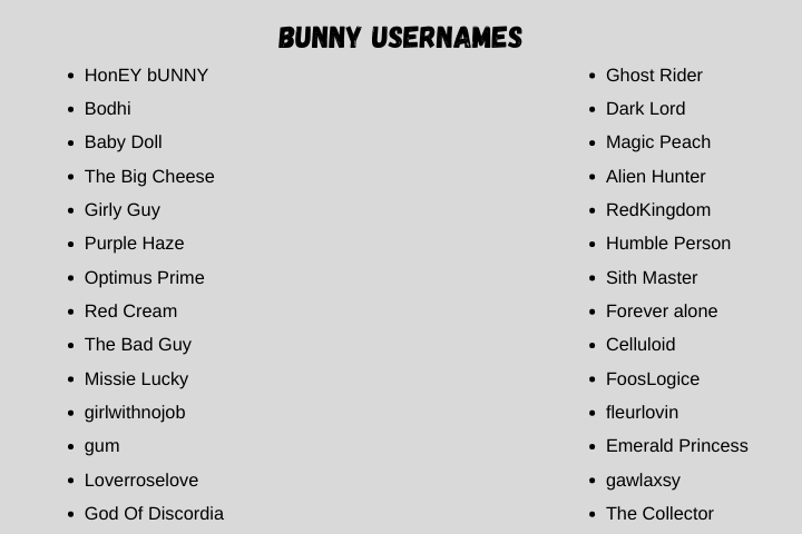 bunny usernames