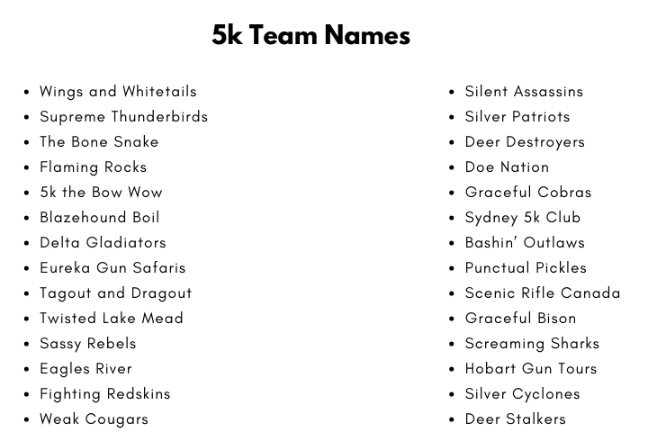 5k Team Names