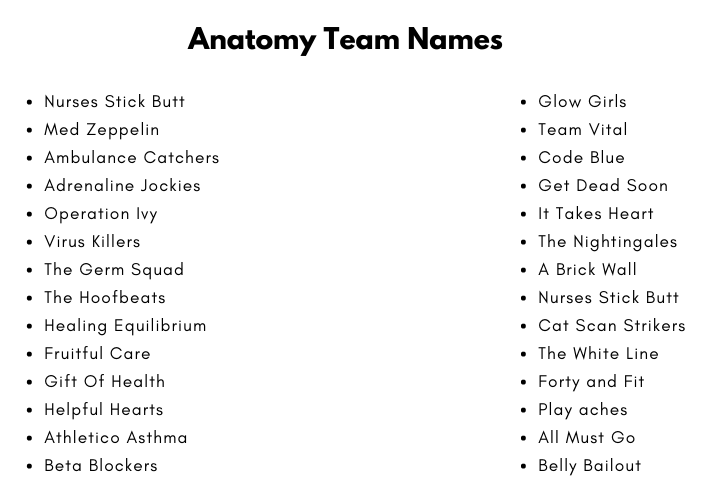 Anatomy Team Names