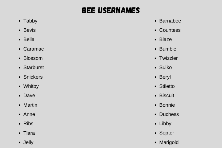 Bee usernames