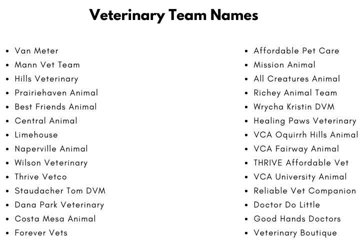 Veterinary Team Names