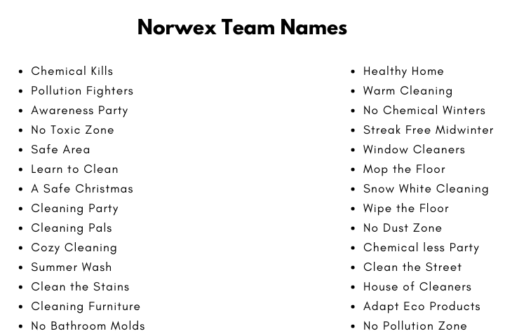 Norwex Team Names