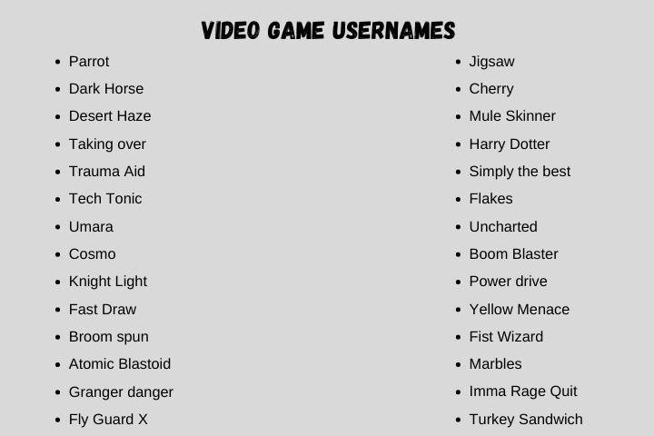 Video Game Usernames