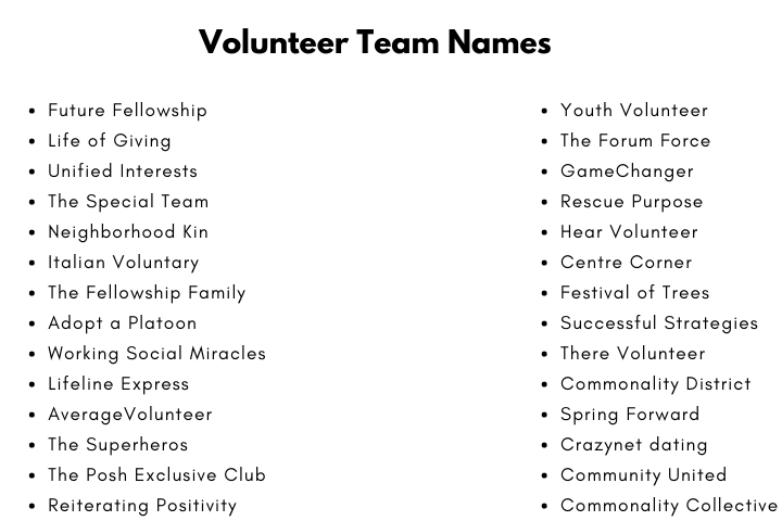 Volunteer Team Names