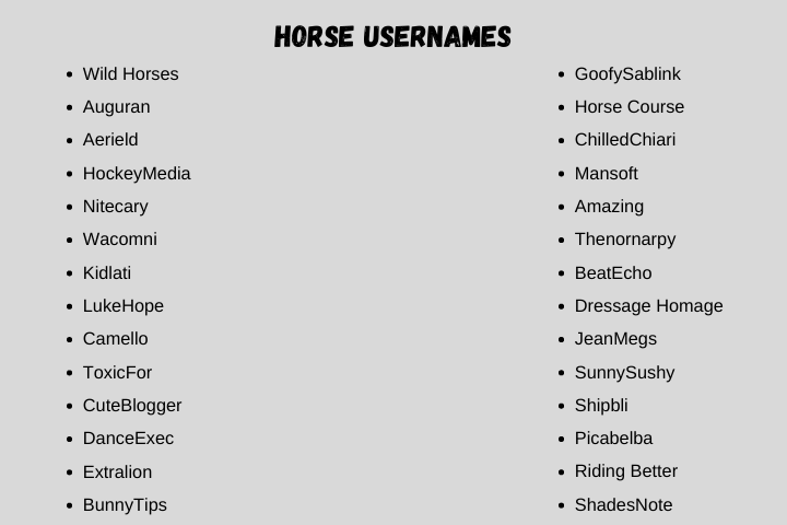 horse usernames