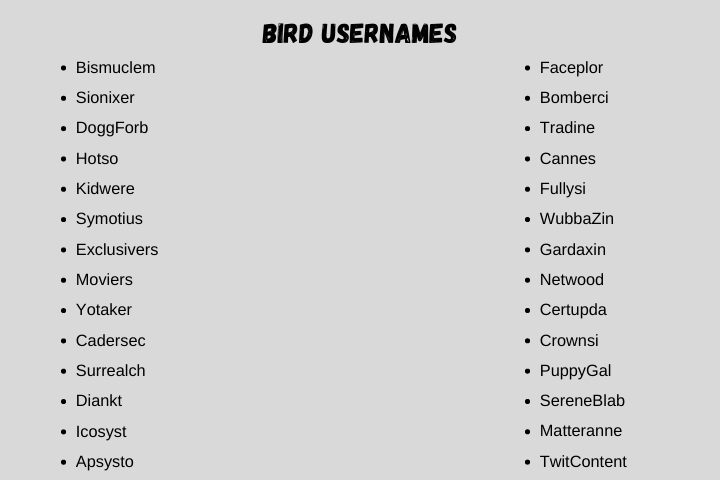 Bird Usernames