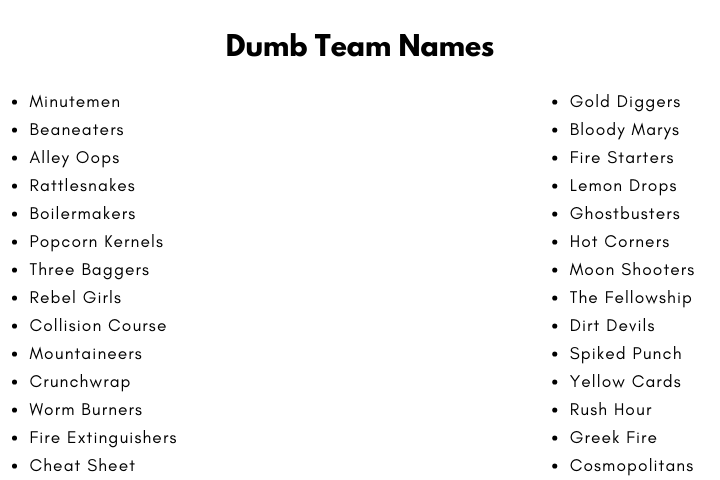 Dumb Team Names