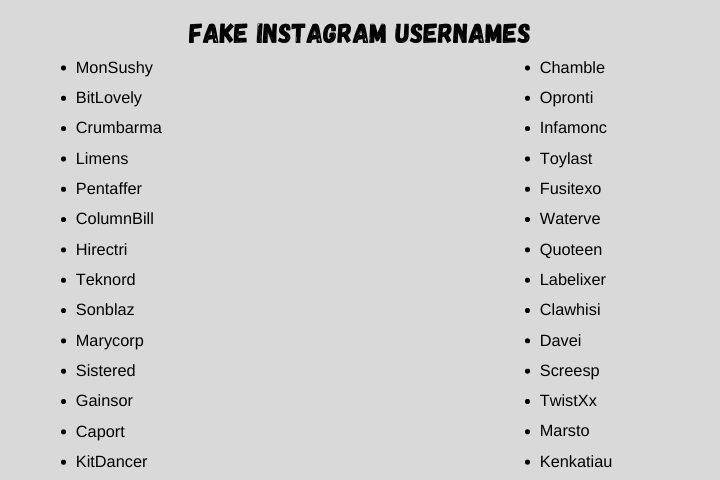 Fake Instagram Usernames