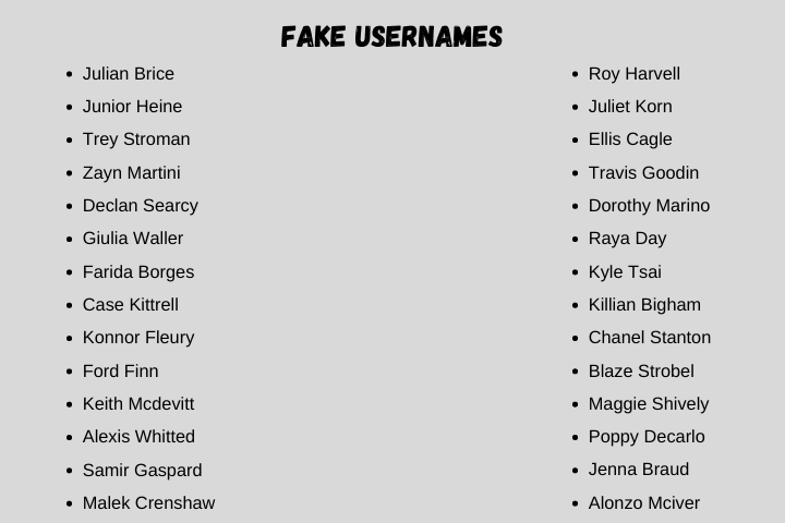 Fake Usernames