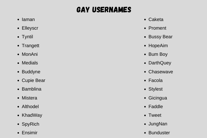 Gay usernames