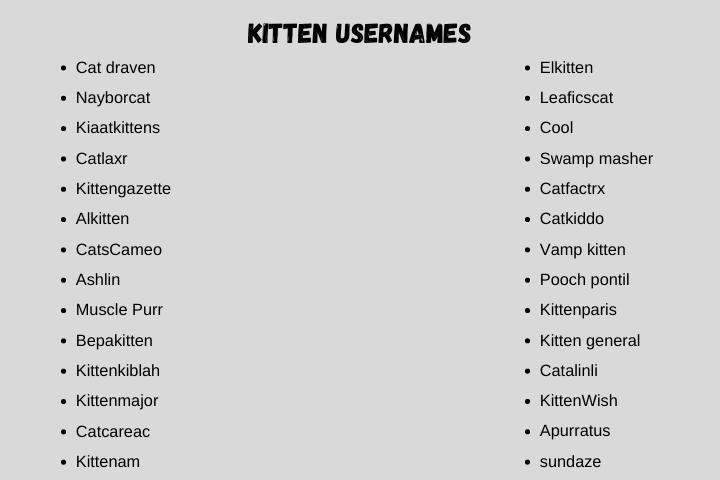 Kitten Usernames