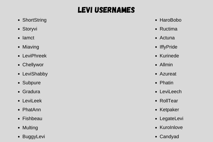 Levi Usernames