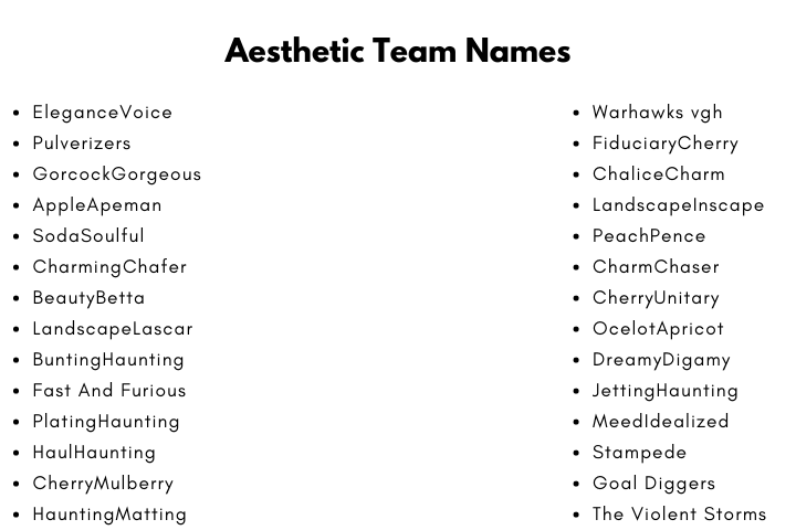 Aesthetic Team Names