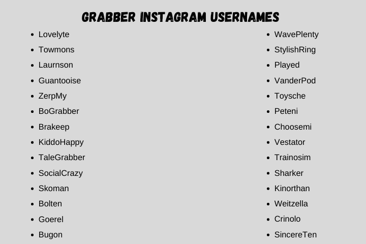 Grabber Instagram Usernames