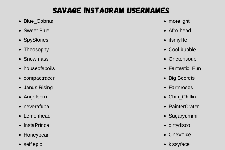 Savage Instagram Usernames