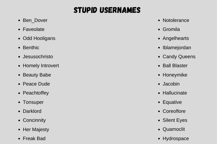 Stupid Usernames