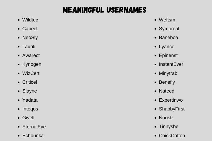 Meaningful Usernames