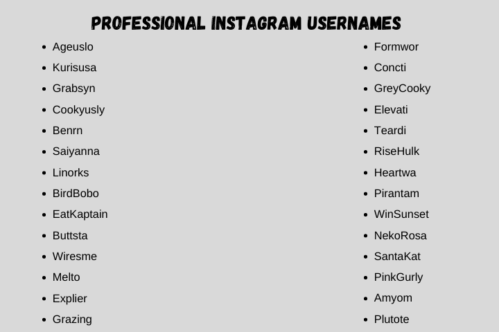 Professional Instagram Usernames